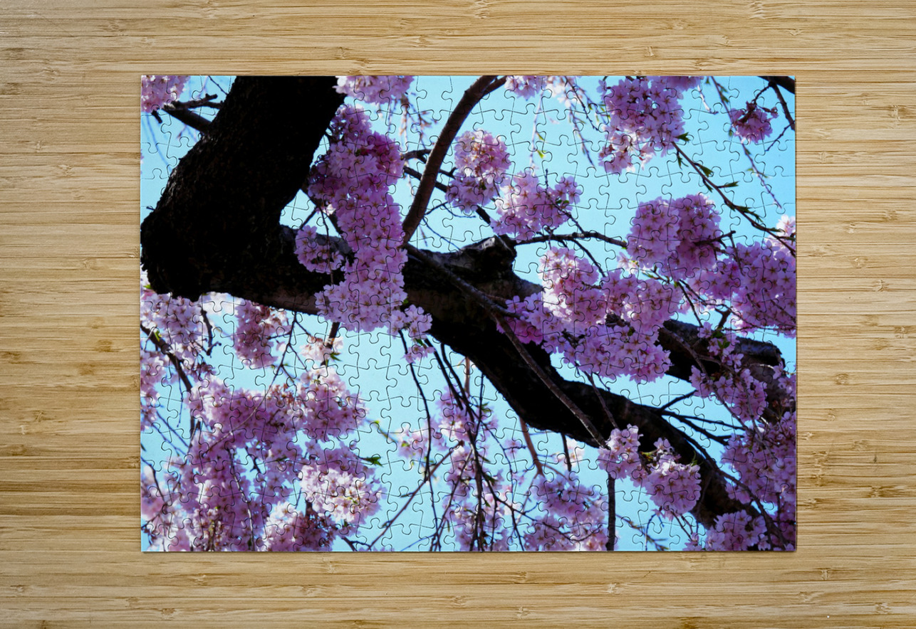 Cherry Blossom  Click4Pix Puzzle printing