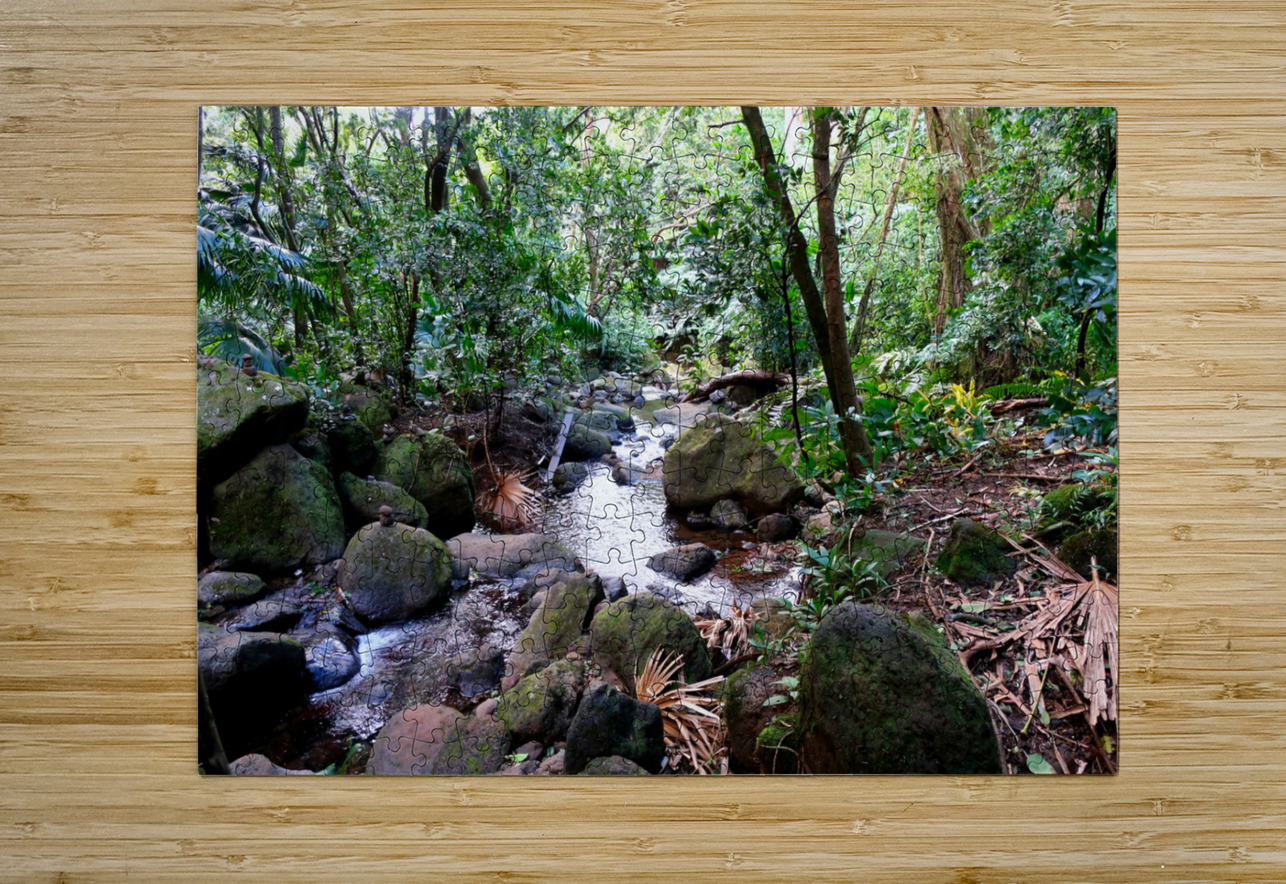 Hiking Hawaii Water Flow B Click4Pix Puzzle printing