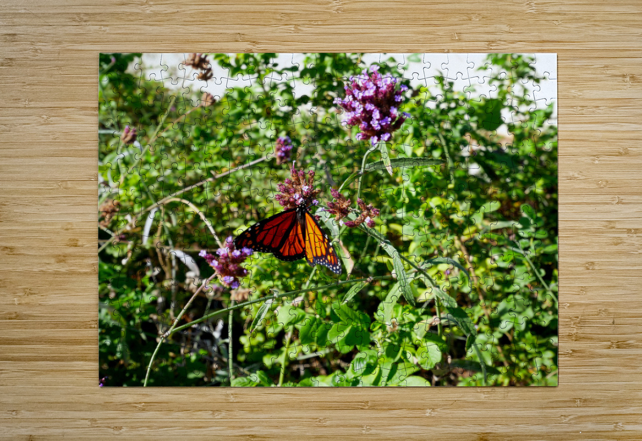 Monarch Butterfly Click4Pix Puzzle printing