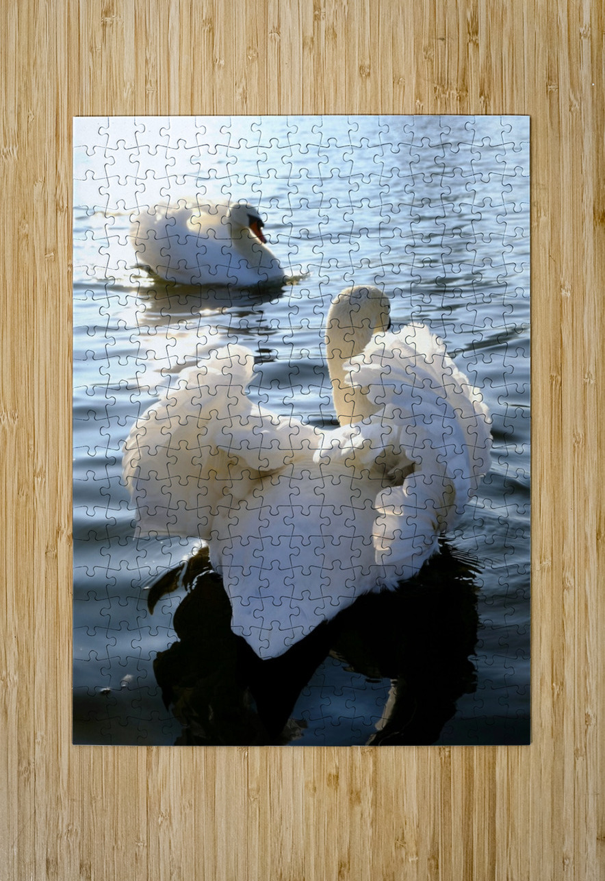 Behind Wings of Love 1A Click4Pix Puzzle printing