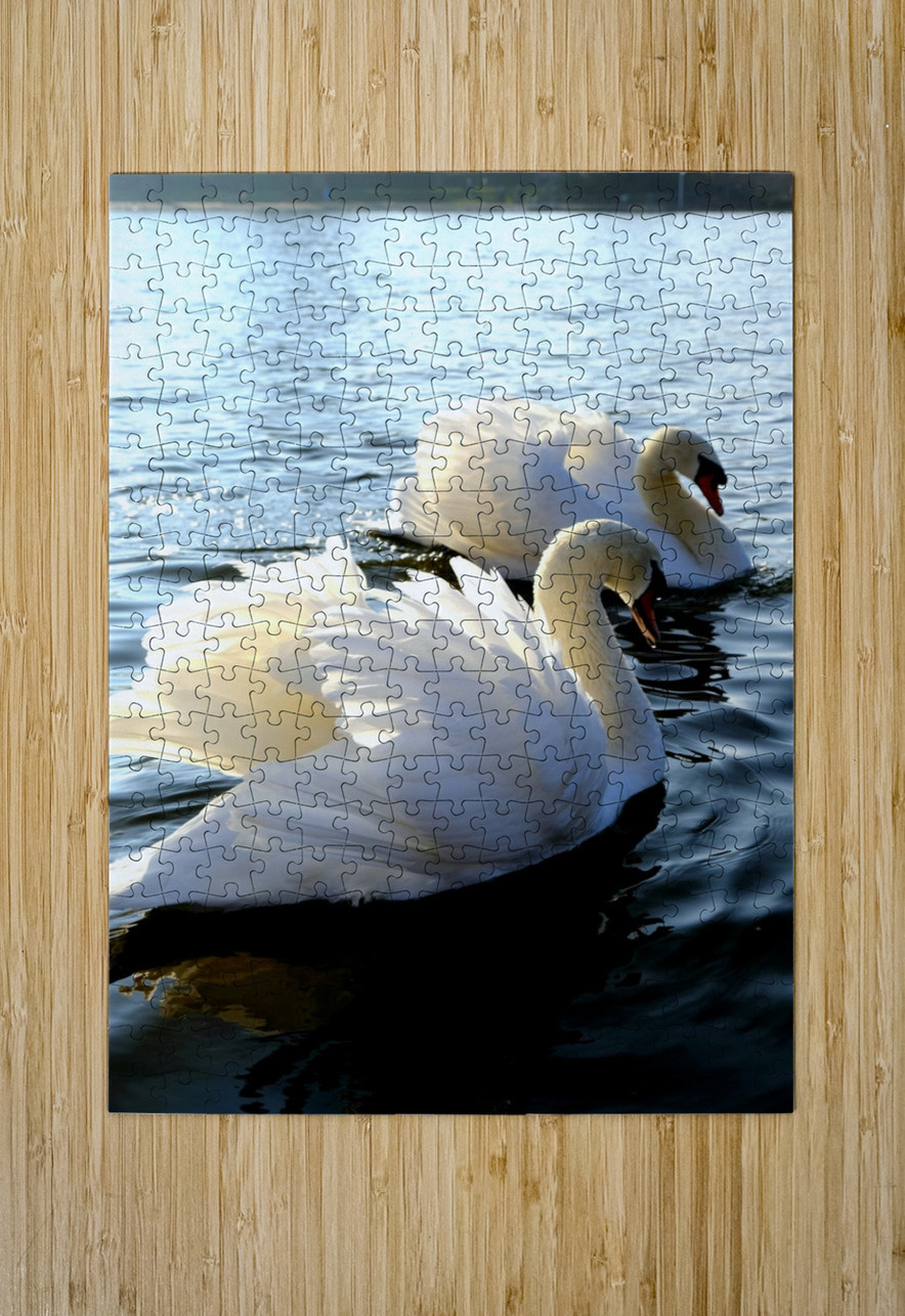 Wings of Love Pair 1A Click4Pix Puzzle printing