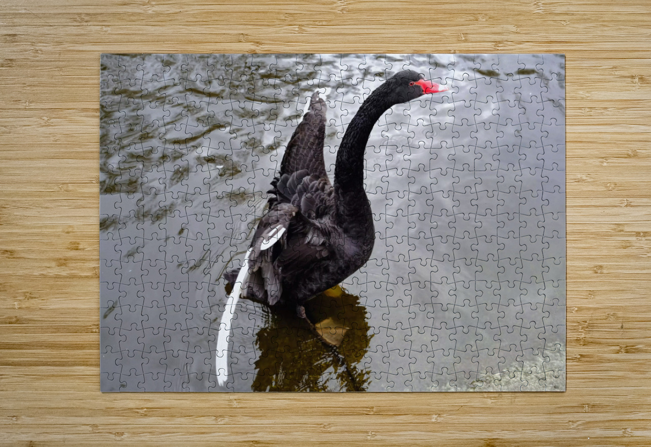 A Black Swan Moment 2B Click4Pix Puzzle printing