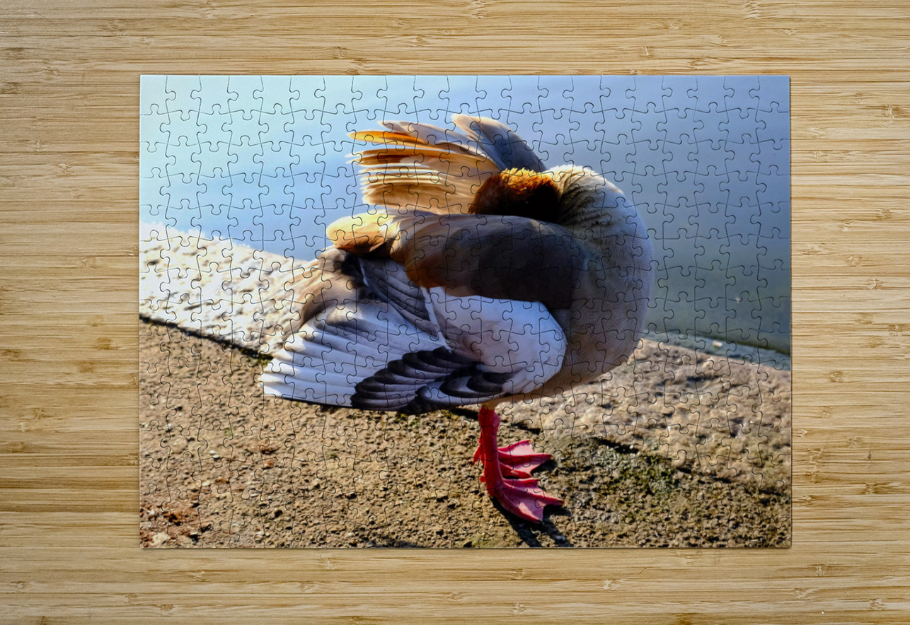 No Selfies Please  Click4Pix Puzzle printing