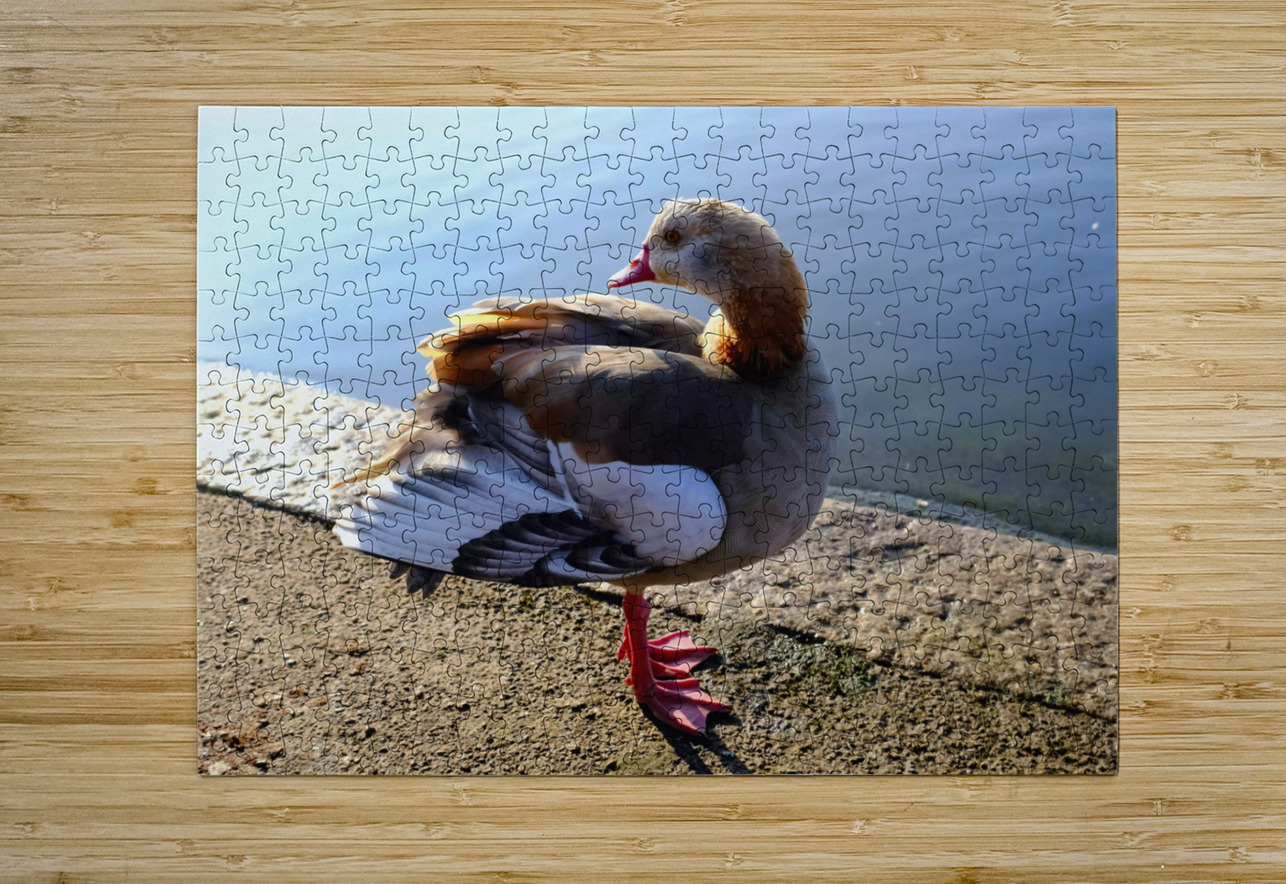 Graceful Pause Click4Pix Puzzle printing