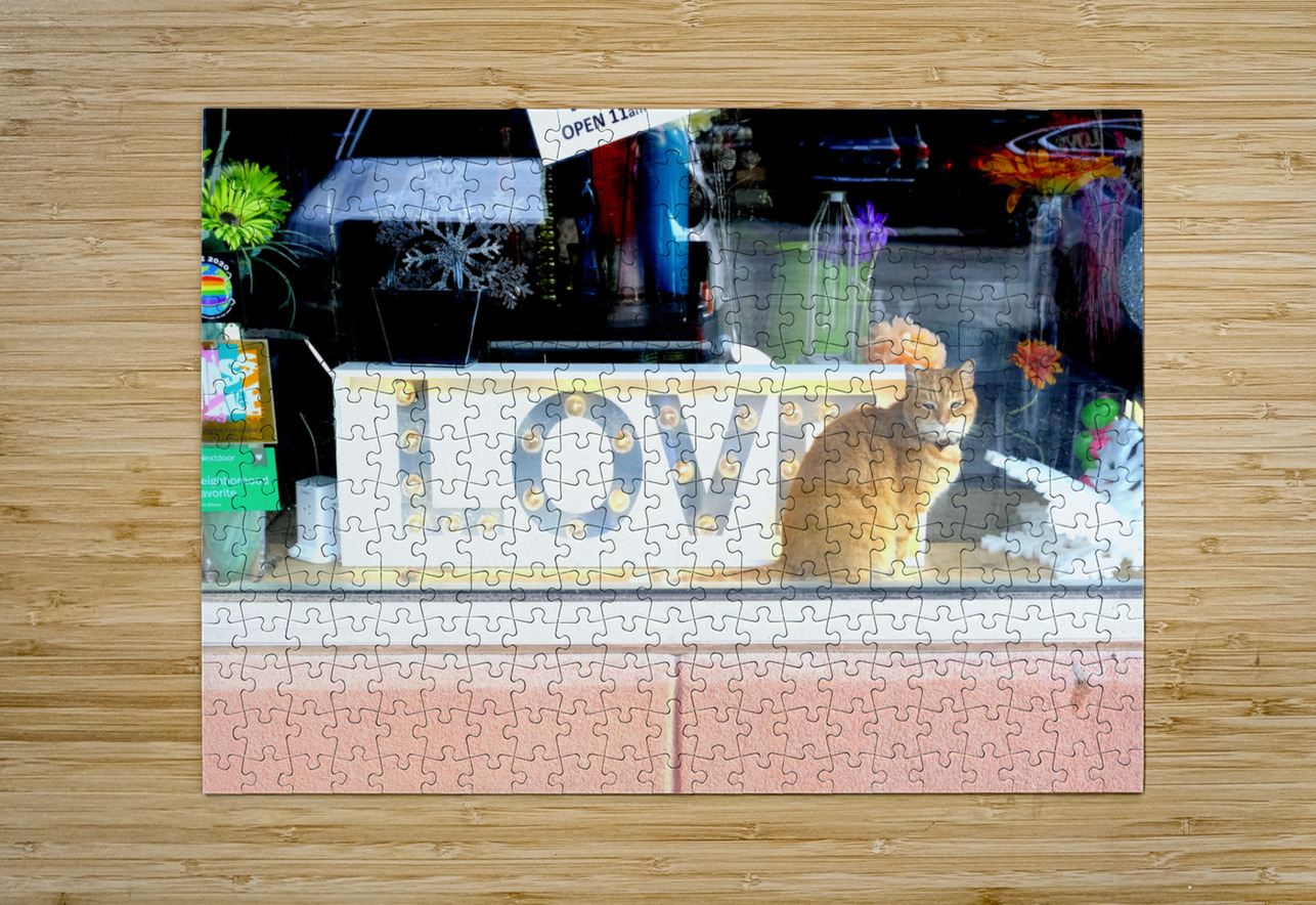 Cat in Window Click4Pix Puzzle printing