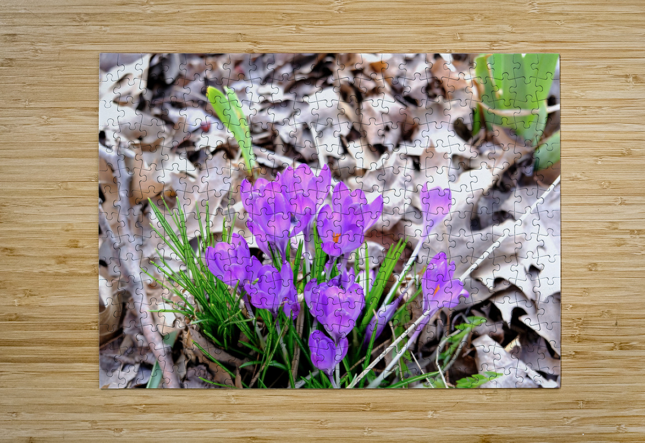 Spring’s Prelude Click4Pix Puzzle printing