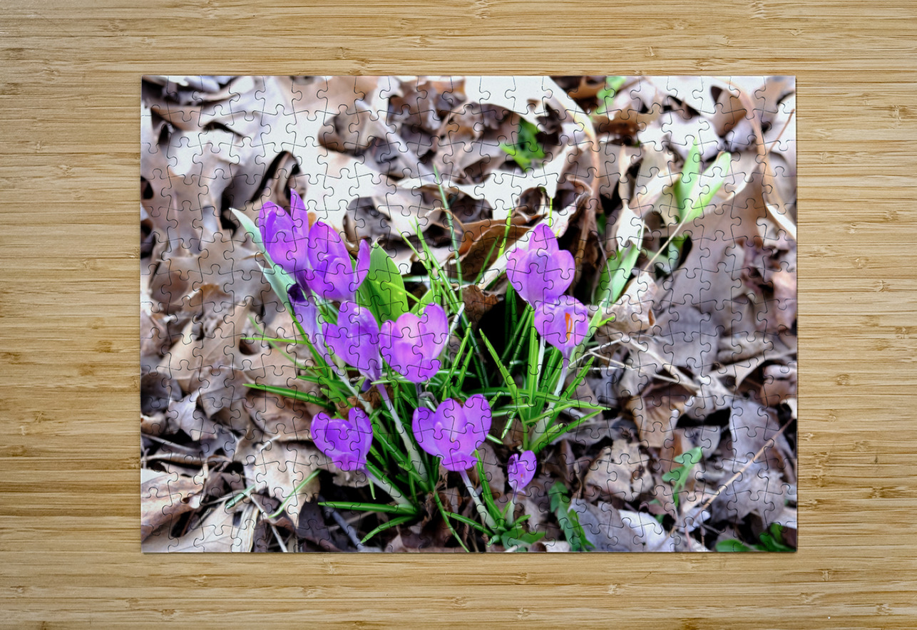 Spring Awakening Click4Pix Puzzle printing