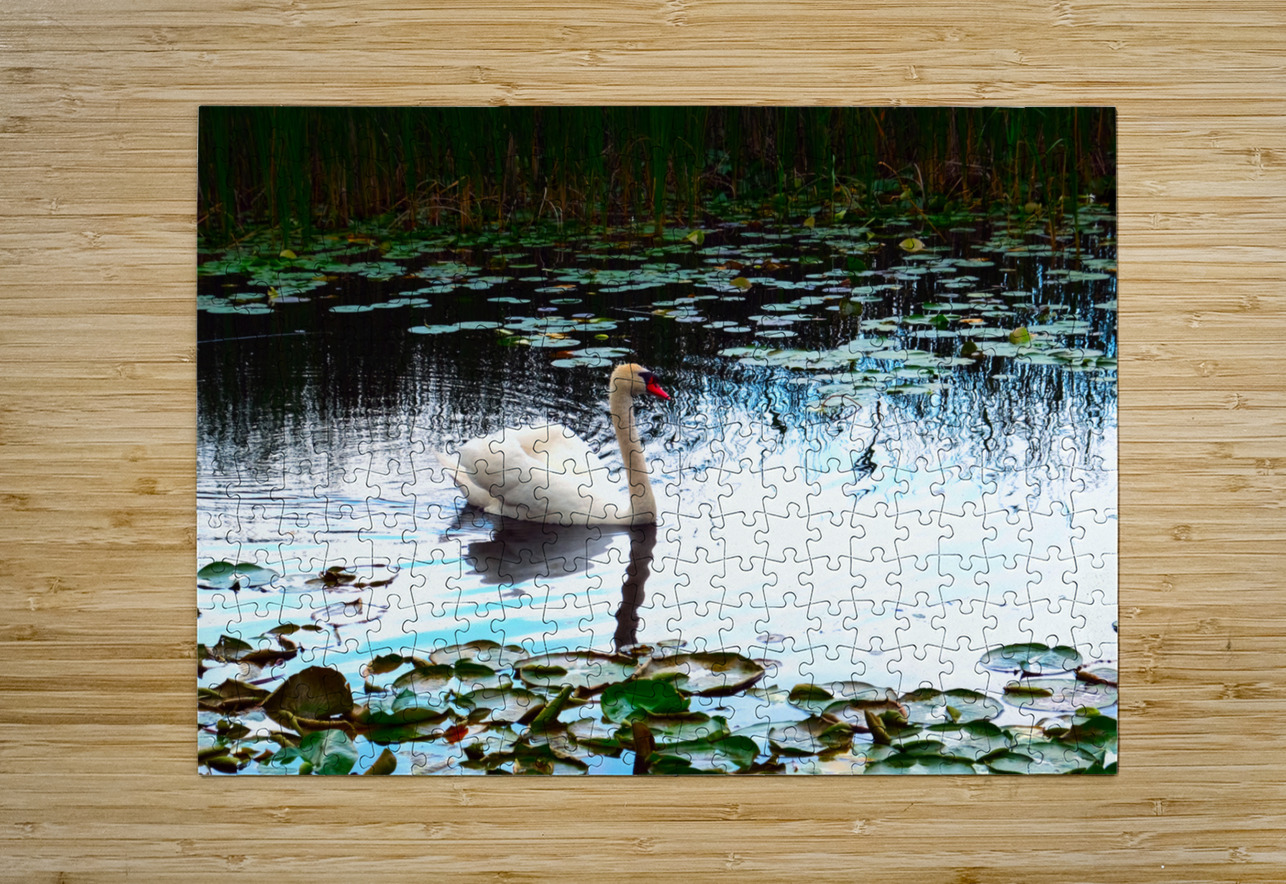 Silent Glide Click4Pix Puzzle printing