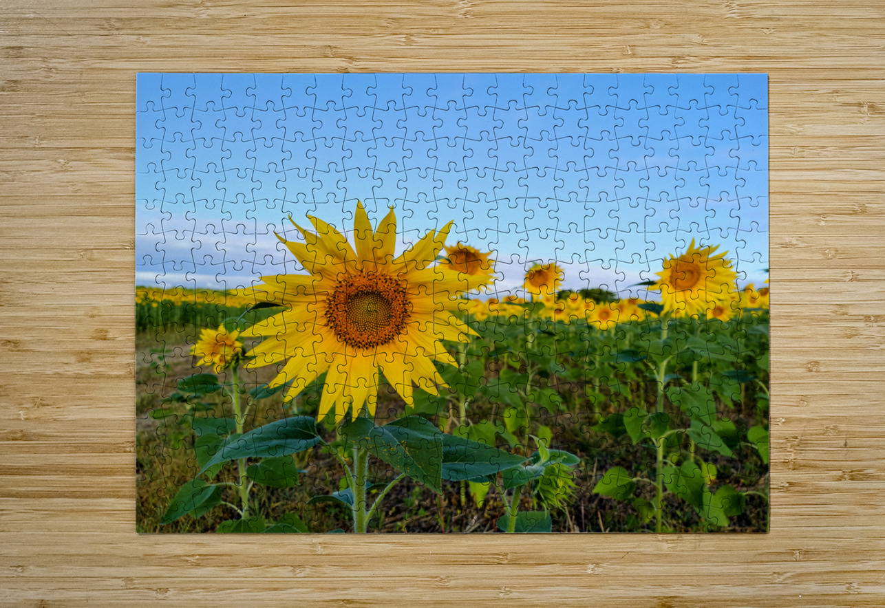 First Light Flower Click4Pix Puzzle printing