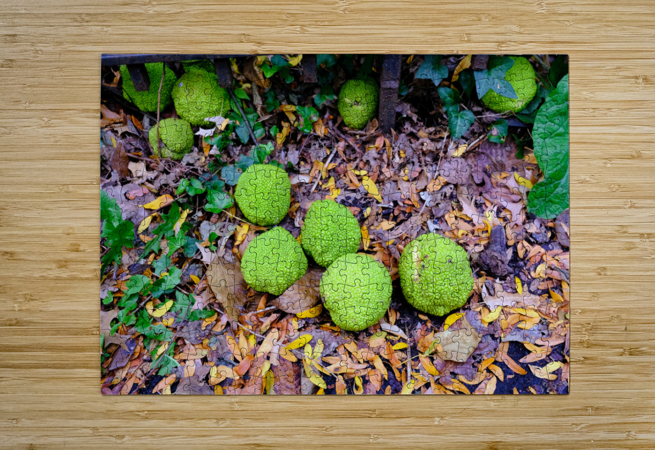 Osage in Autumn Click4Pix Puzzle printing