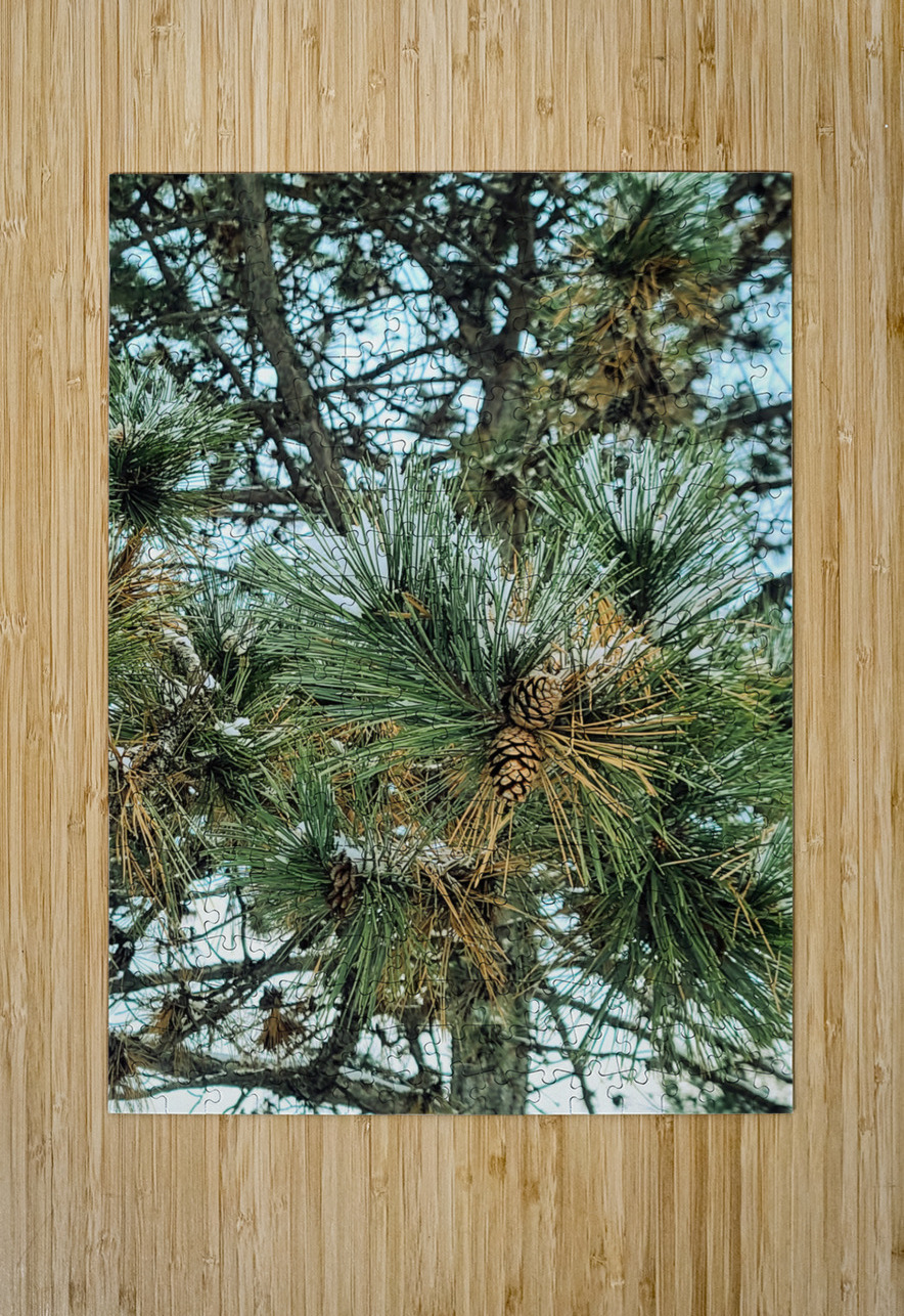 Winter Pinescape Click4Pix Puzzle printing