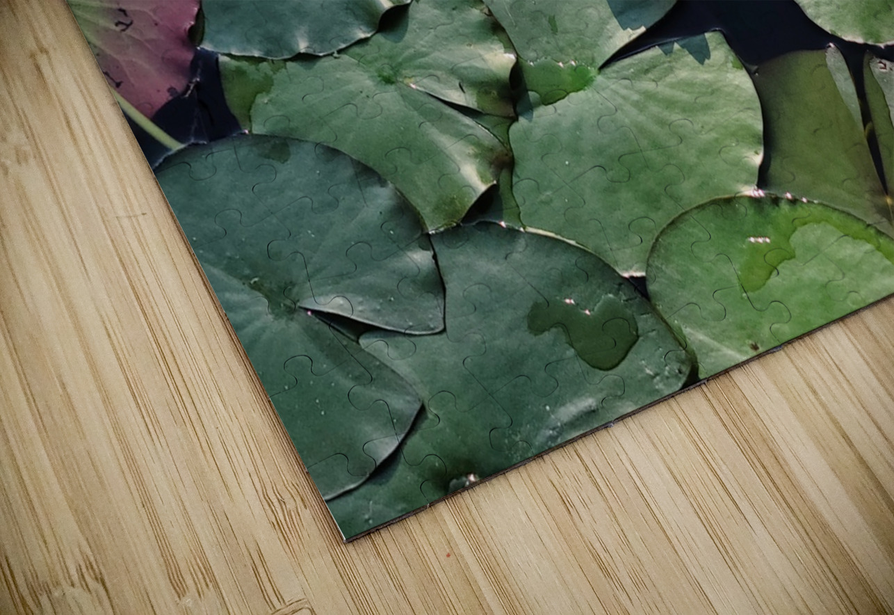 Sunlit Lily Click4Pix Puzzle