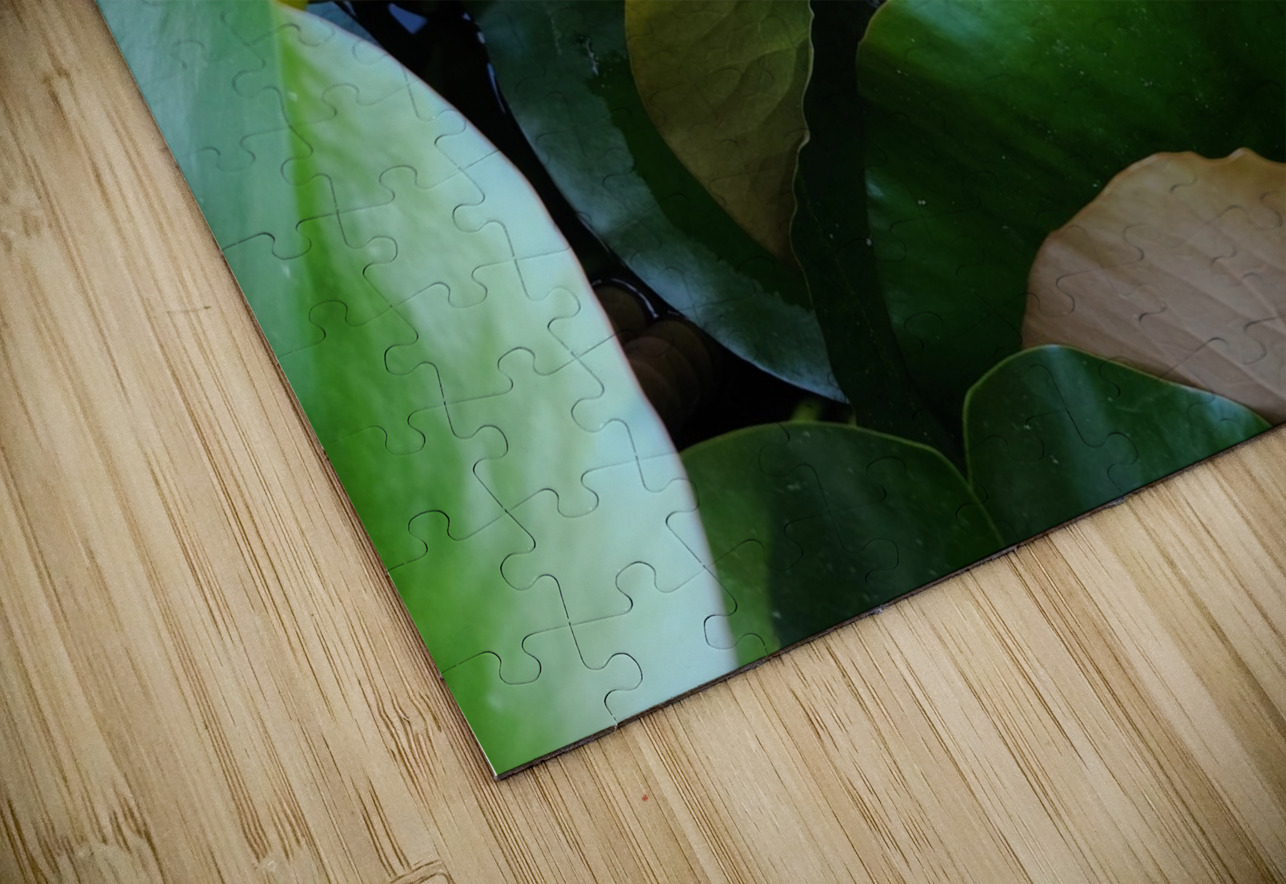 Shy Blossom in Green Embrace Click4Pix Puzzle