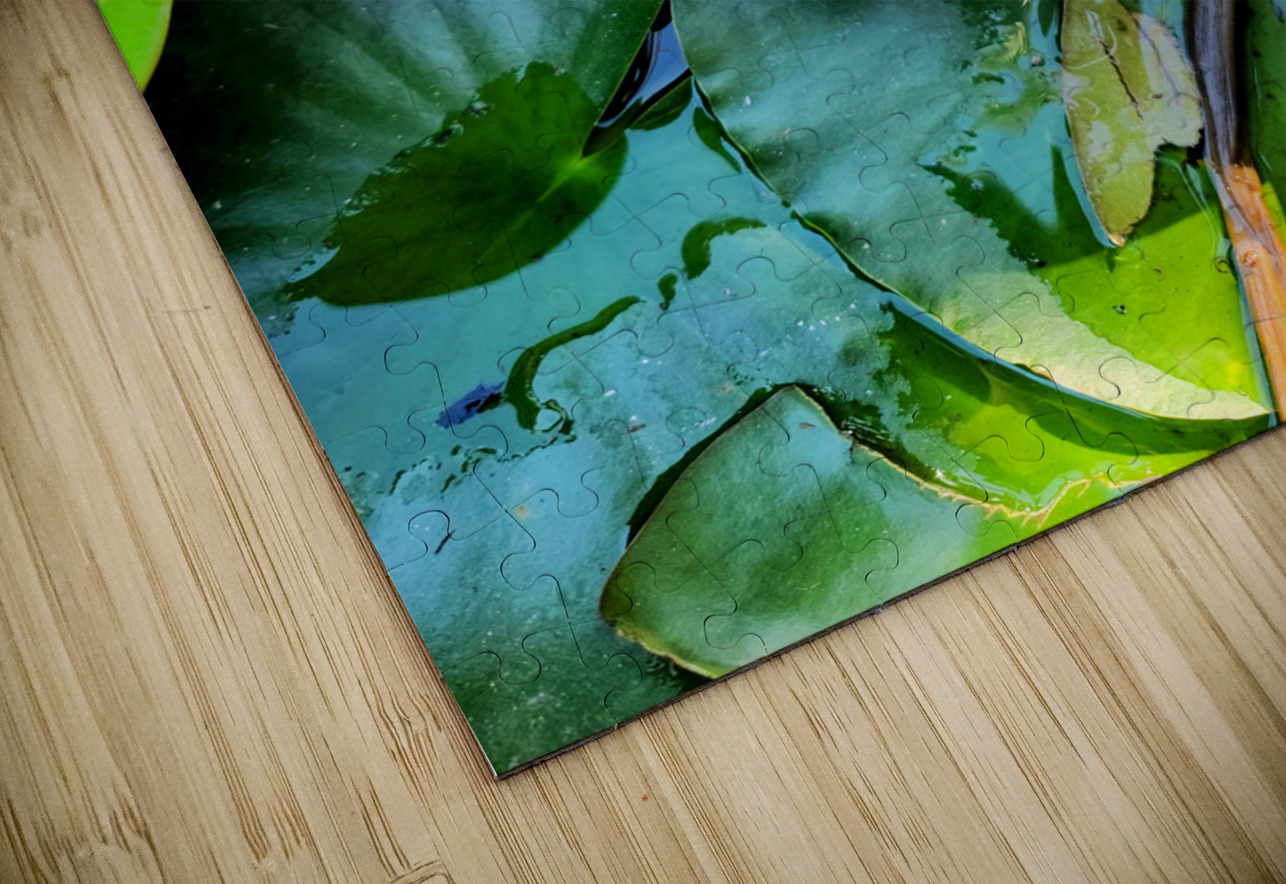 White Radiance in Green Silence Click4Pix Puzzle