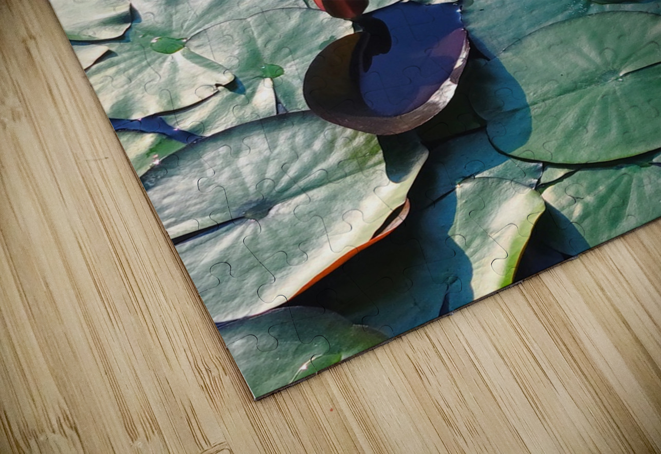 Lotus Lily Love: Promise of the Bloom Click4Pix Puzzle