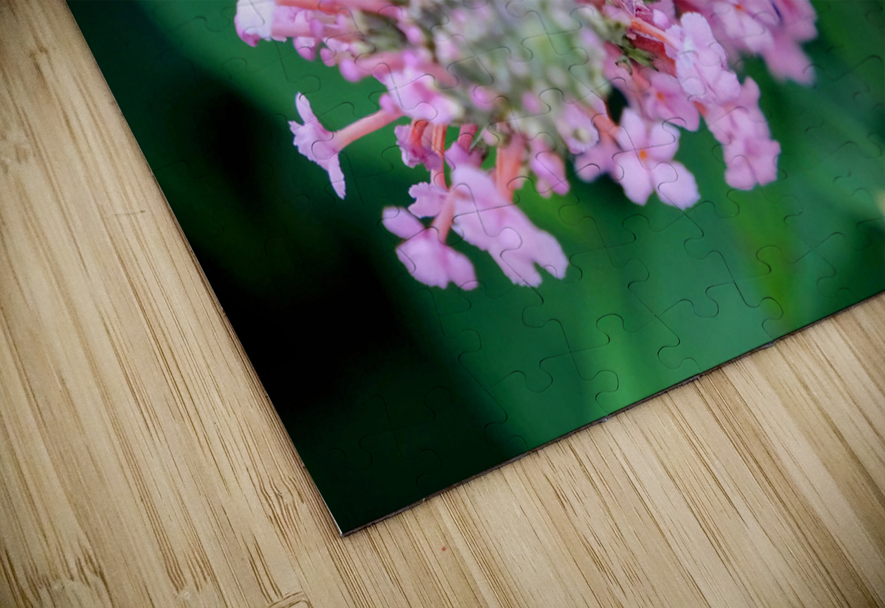 Bee Still on Butterfly Bush Click4Pix Puzzle