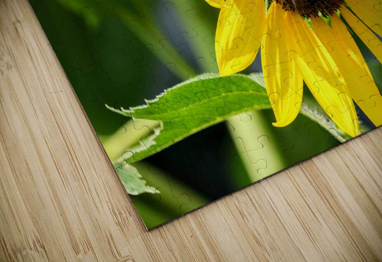 The Sunflower Keeps Time for Two Click4Pix Puzzle