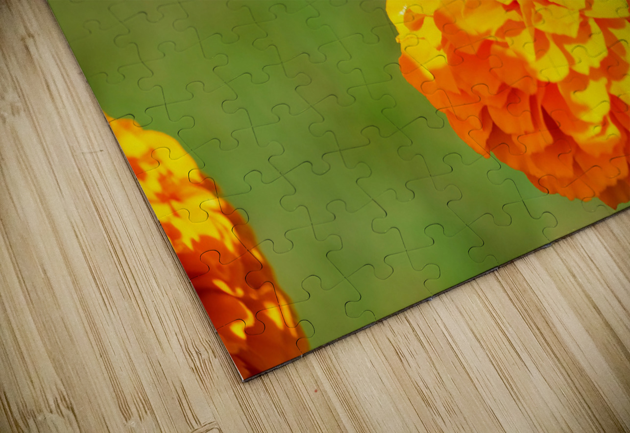 Marigold Thrones and Winged Kings Click4Pix Puzzle