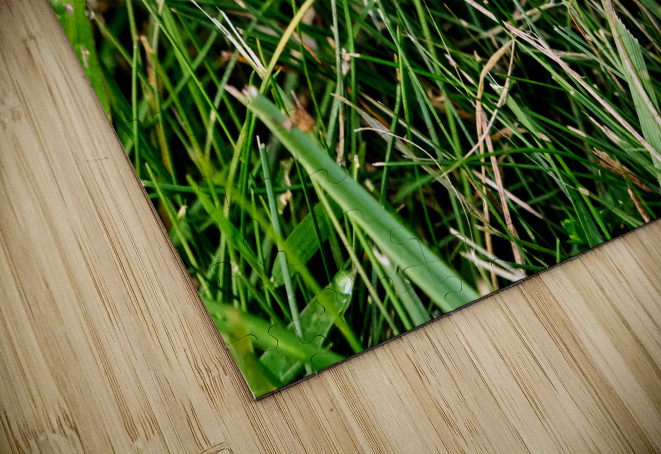 The Littlest Umbrella Click4Pix Puzzle