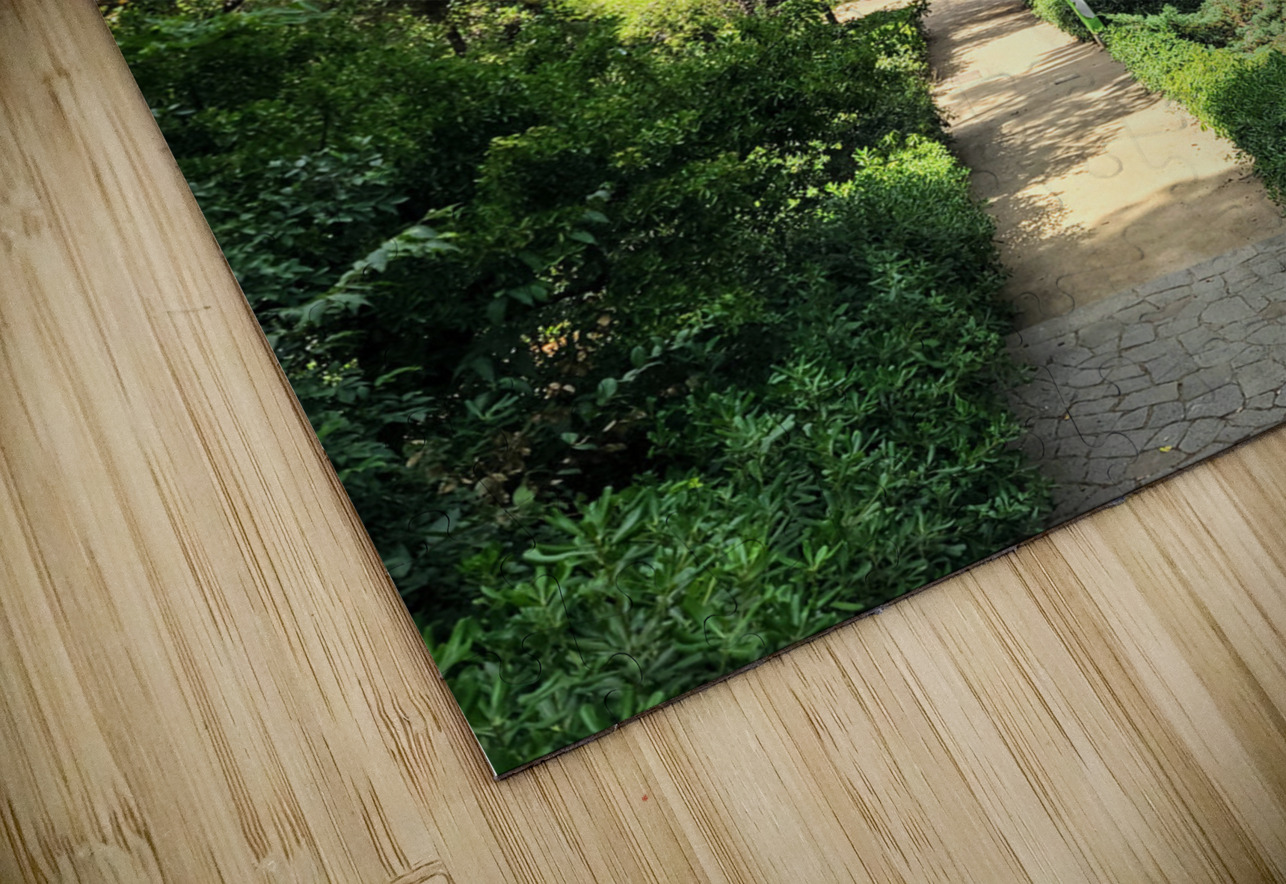 Path to the Palms Click4Pix Puzzle