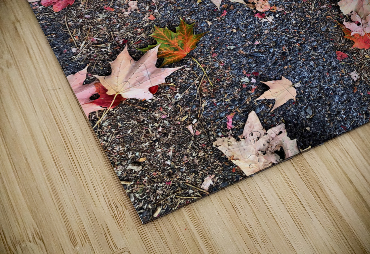 Grounded in Colors: Scattered Beauty Click4Pix Puzzle