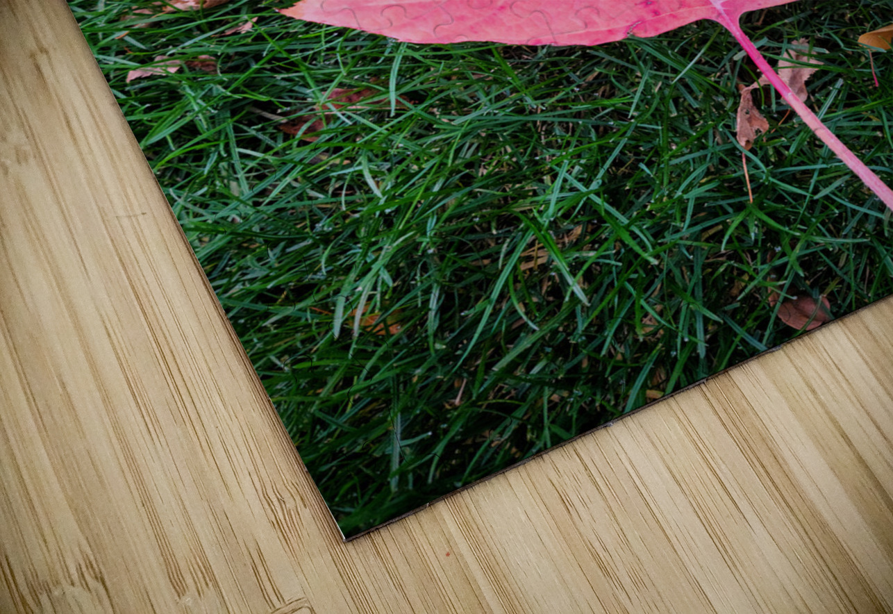 Leaf Me on the Grass Click4Pix Puzzle