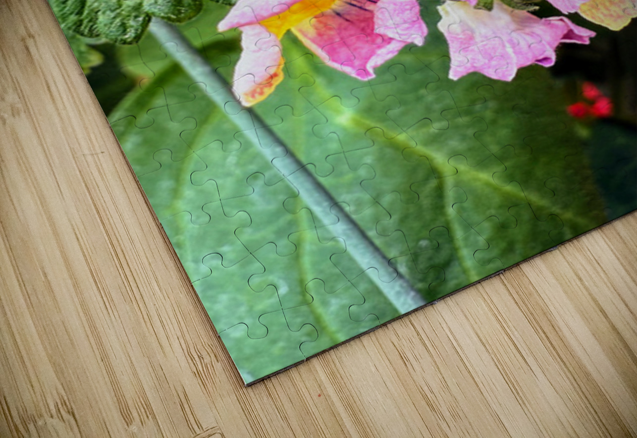 Vibrant Garden Bloom – Colorful Flower Close-Up with Lush Greenery-2 Click4Pix Puzzle