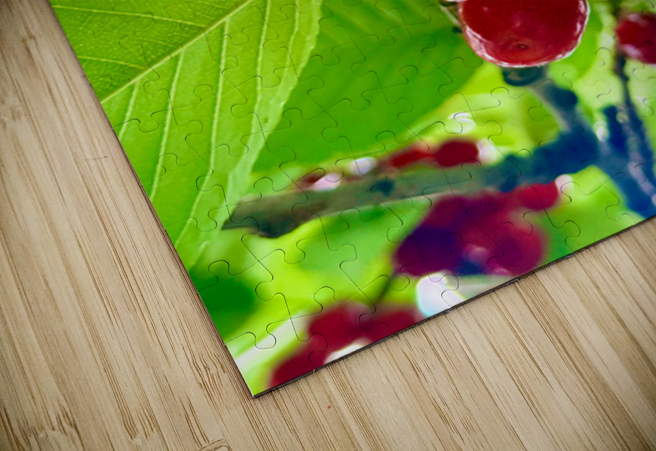 Scarlet Clusters of Abundance Click4Pix Puzzle