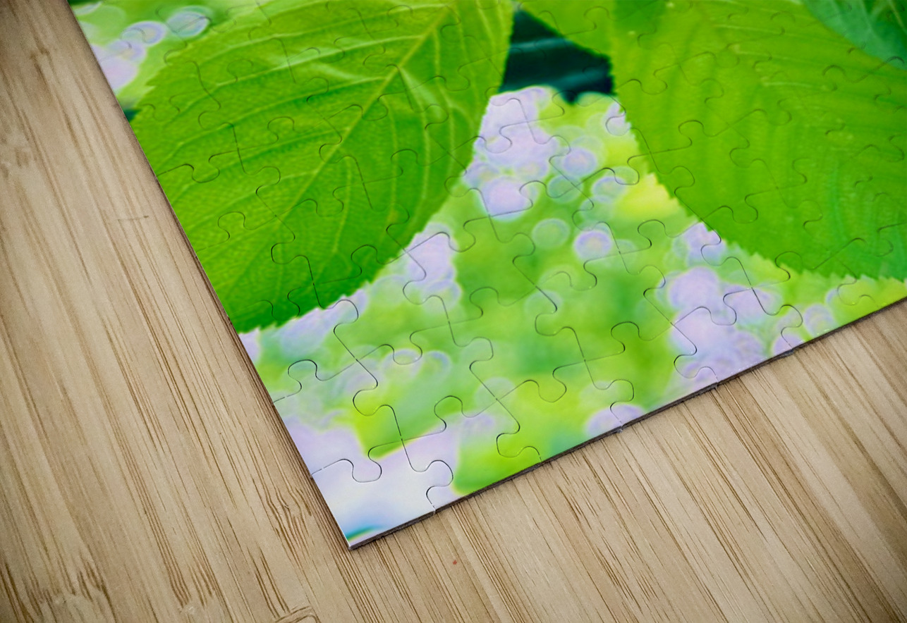 Jewels of the Canopy: The Hidden Orchard Crown Click4Pix Puzzle