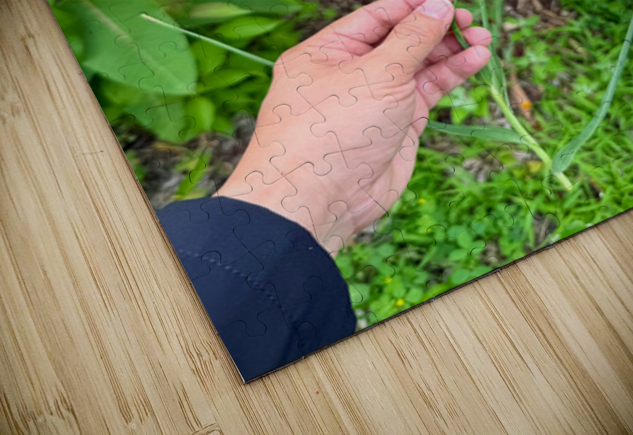 Cartography of a Wish Click4Pix Puzzle