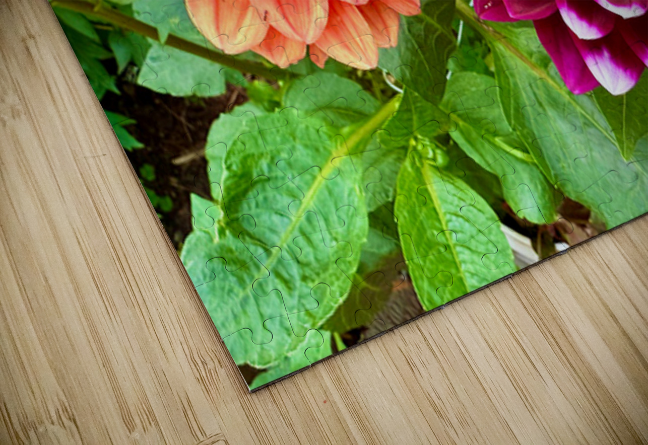 Harmony Blooms: When Opposites Flower Together Click4Pix Puzzle