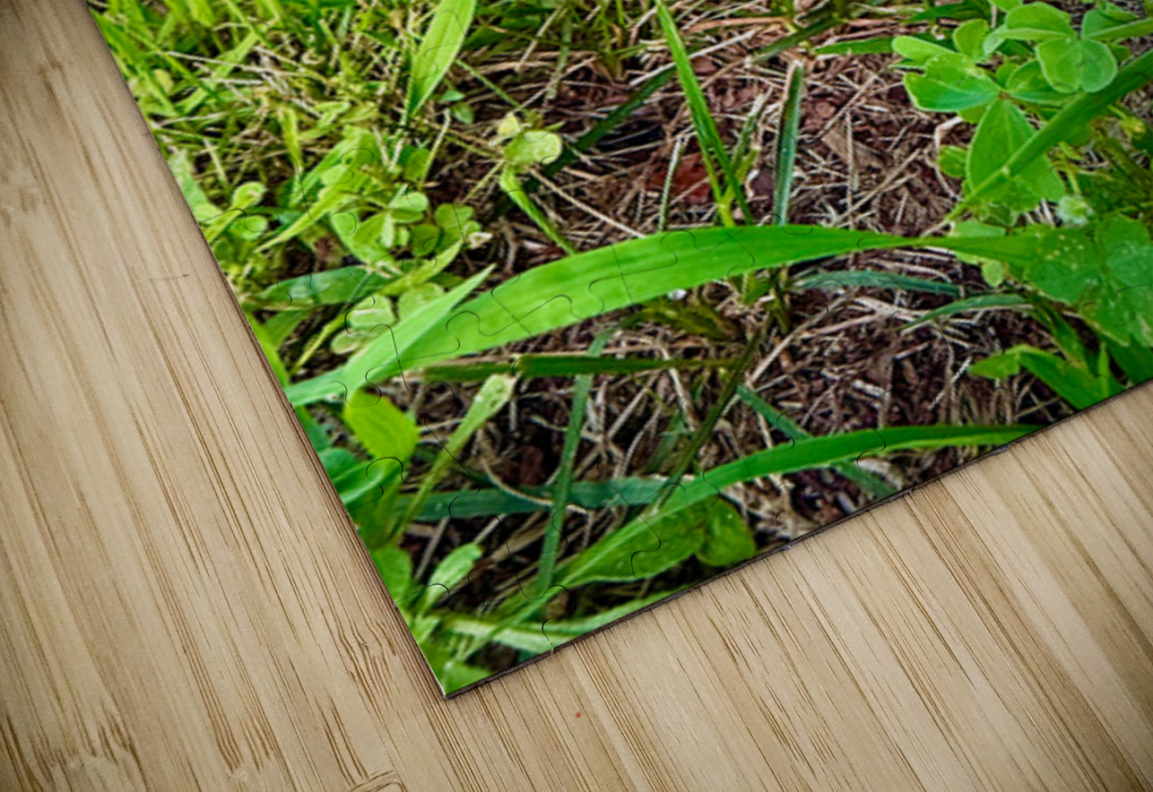 Pillar of the Undergrowth Click4Pix Puzzle