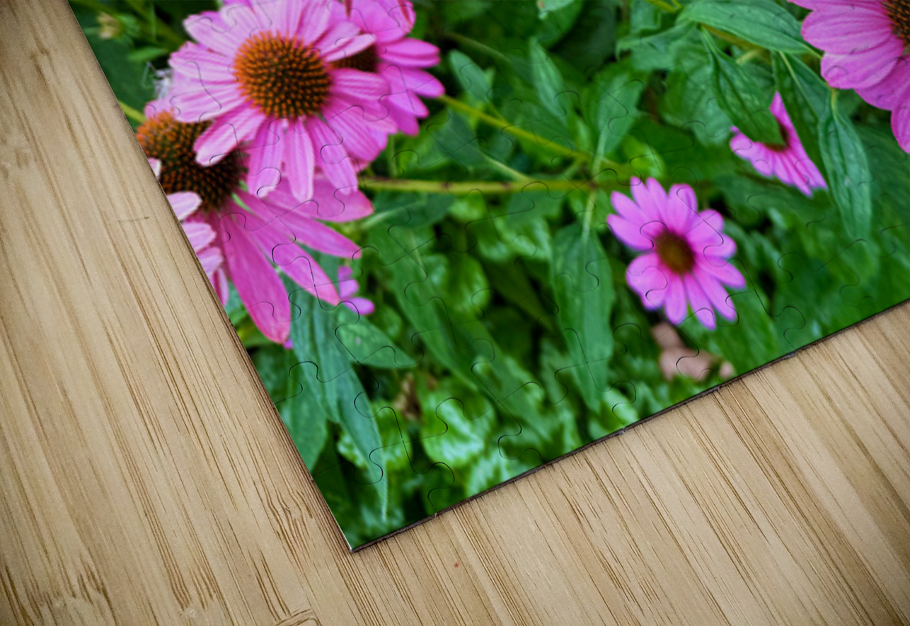 Field of Echinacea Dreams Click4Pix Puzzle