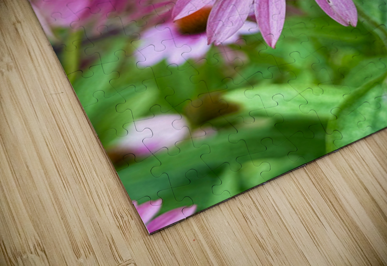 Coneflower Harmony Click4Pix Puzzle