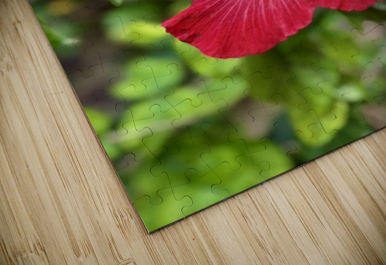 IMG 9953 Click4Pix Puzzle