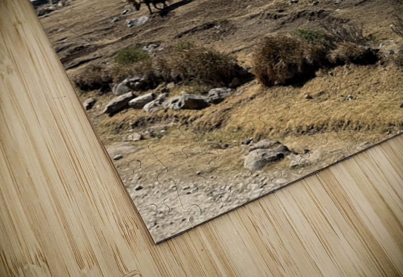 IMG 9563 Click4Pix Puzzle