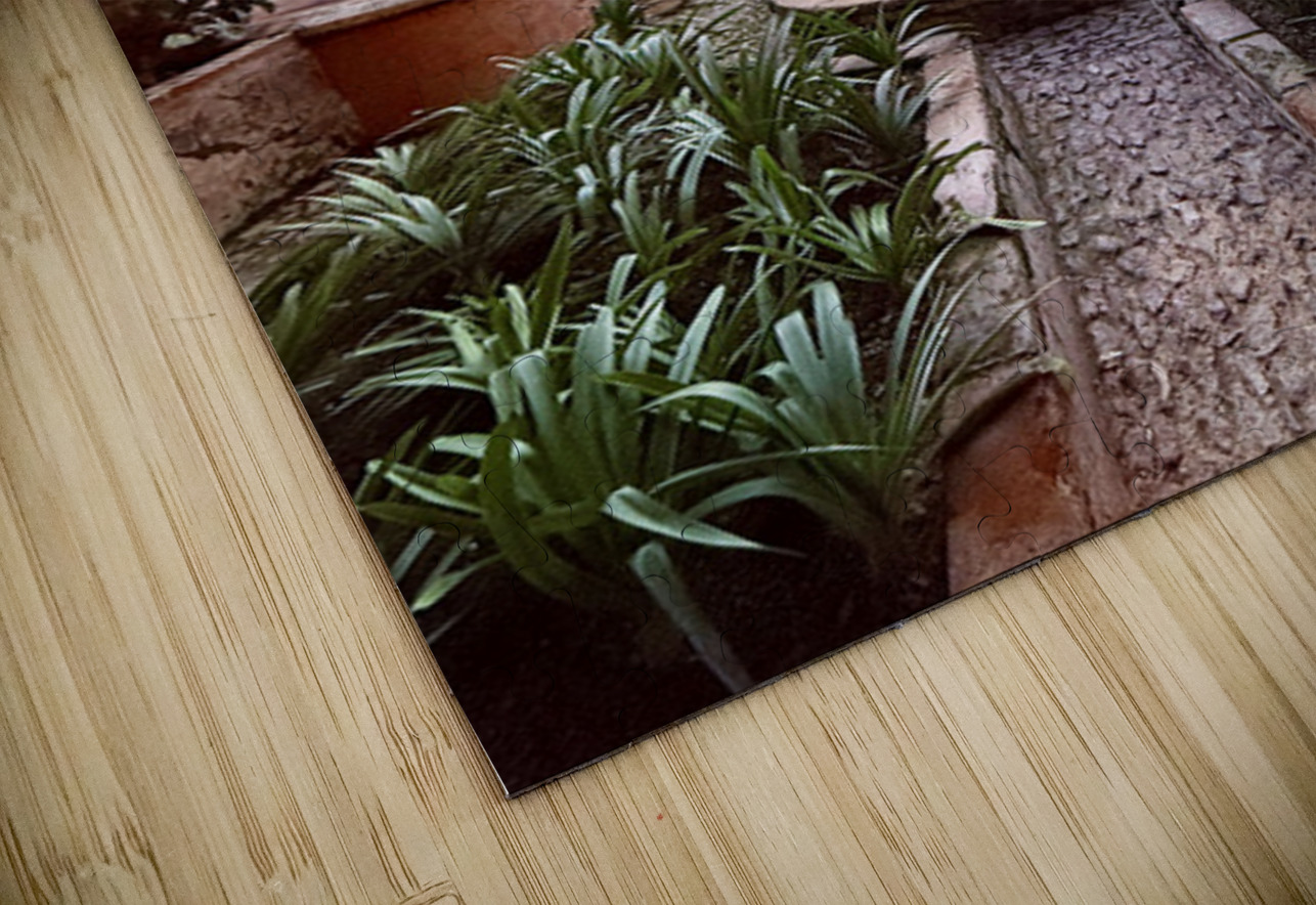 IMG 9974 Click4Pix Puzzle