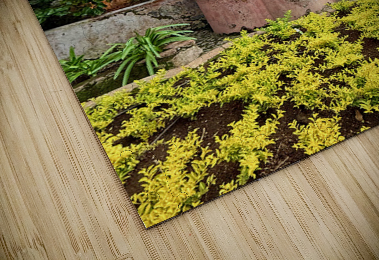 IMG 9960 Click4Pix Puzzle