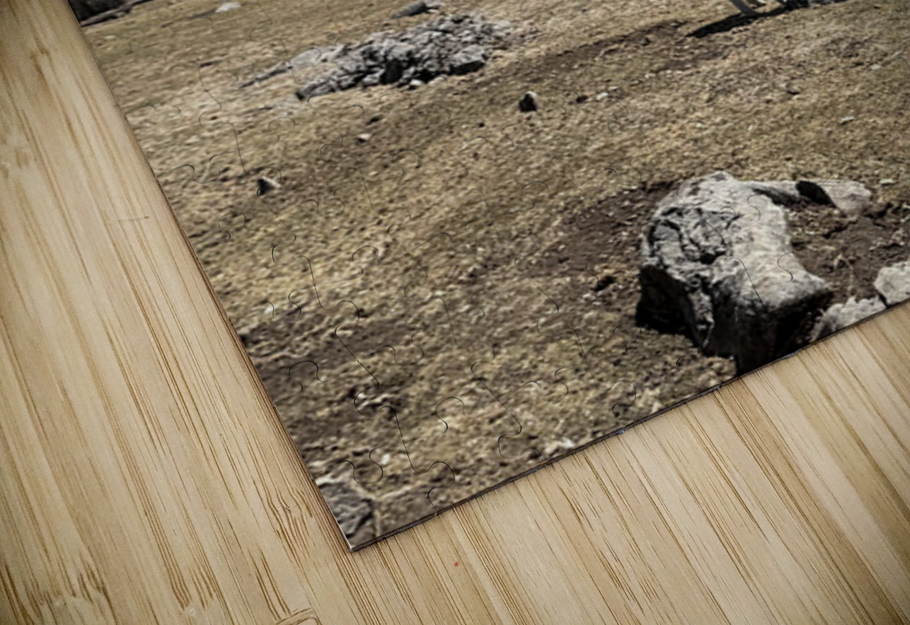 IMG 9504 Click4Pix Puzzle