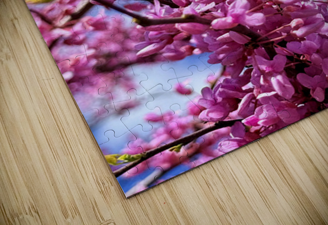 IMG 1683 Click4Pix Puzzle