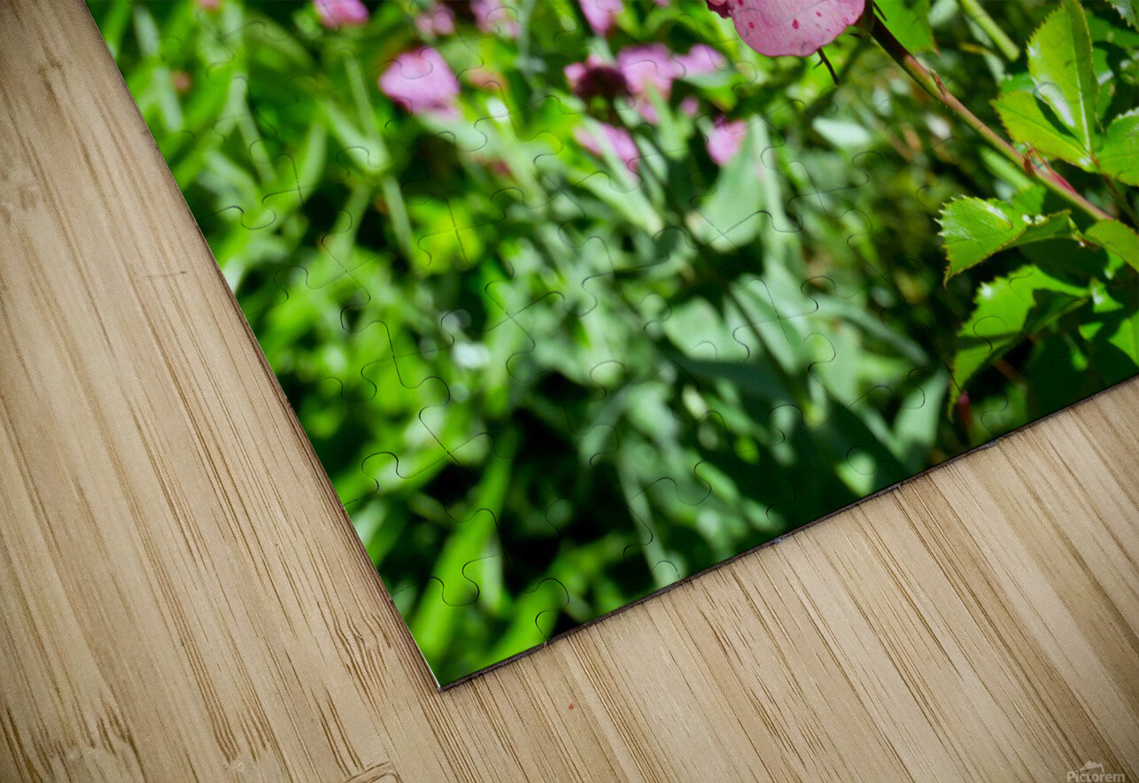 Penelope Purple Click4Pix Puzzle