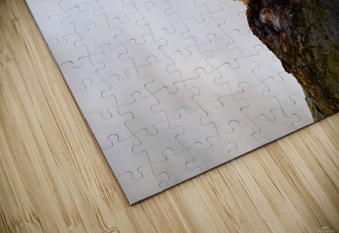 A Blonde Squirrel Moment Click4Pix Puzzle