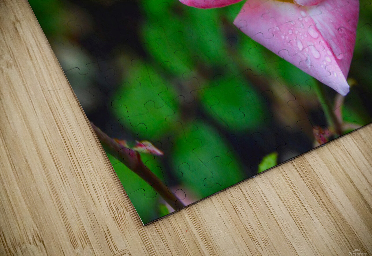 Beautiful Sweat Click4Pix Puzzle