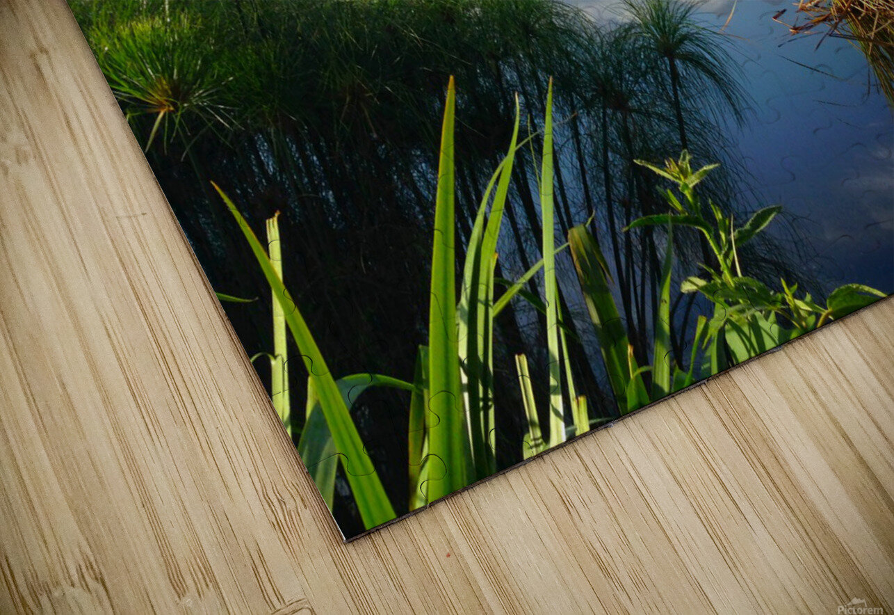 Out of Africa 2 Click4Pix Puzzle