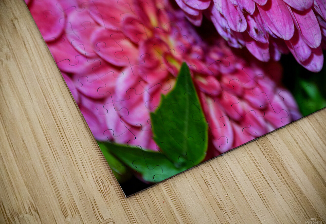 Flower Bloom 1 Click4Pix Puzzle