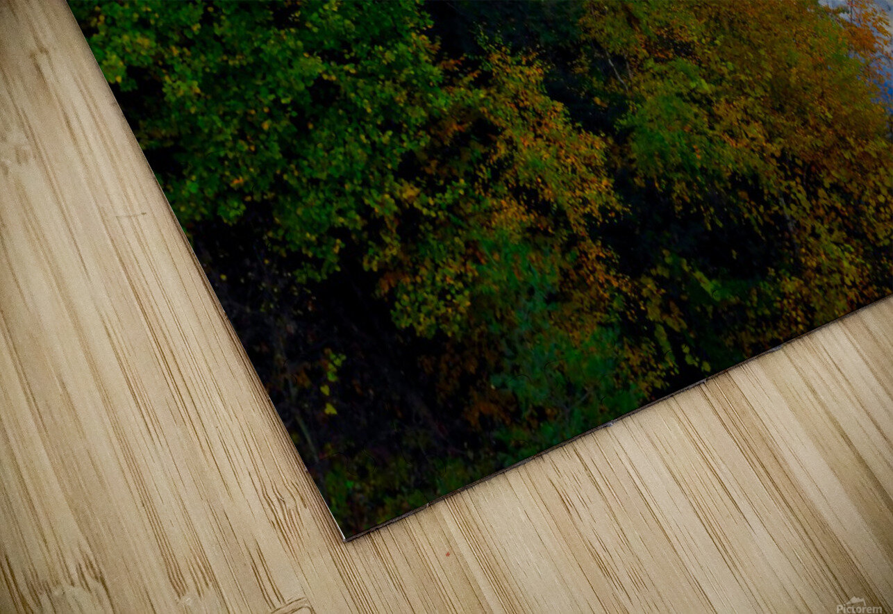 MI Reflections 2 Click4Pix Puzzle