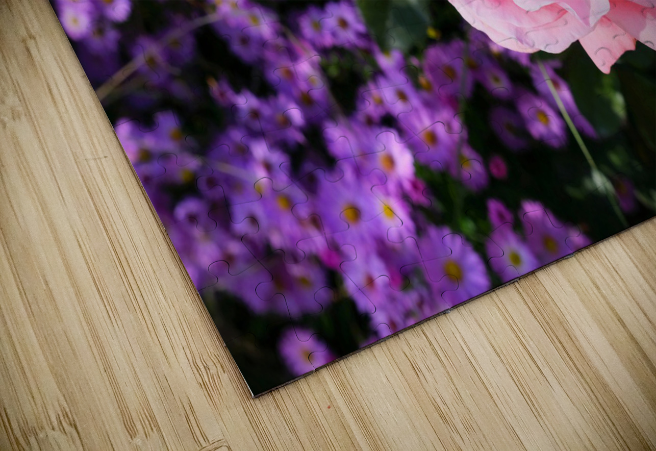 Flower Bloom 6 Click4Pix Puzzle