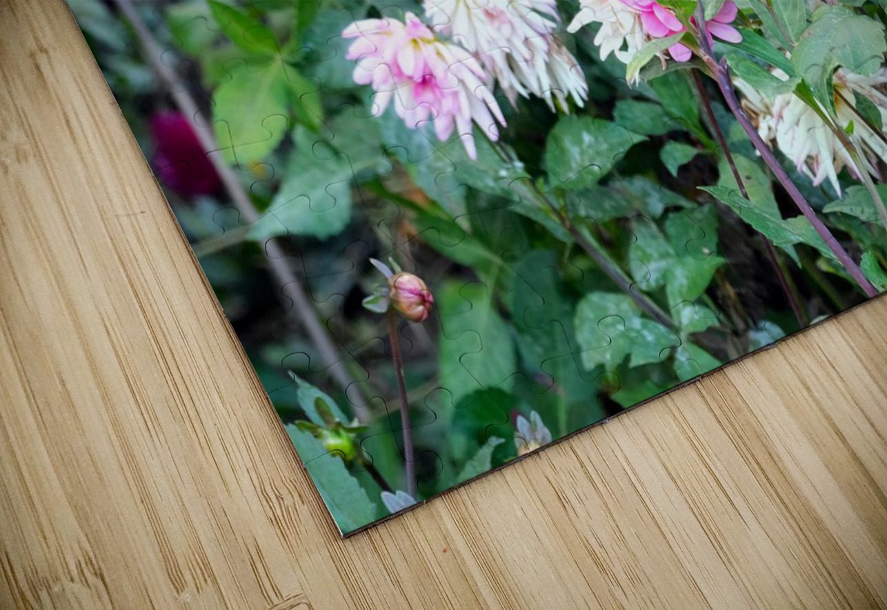 Pink and White Flowers  Click4Pix Puzzle