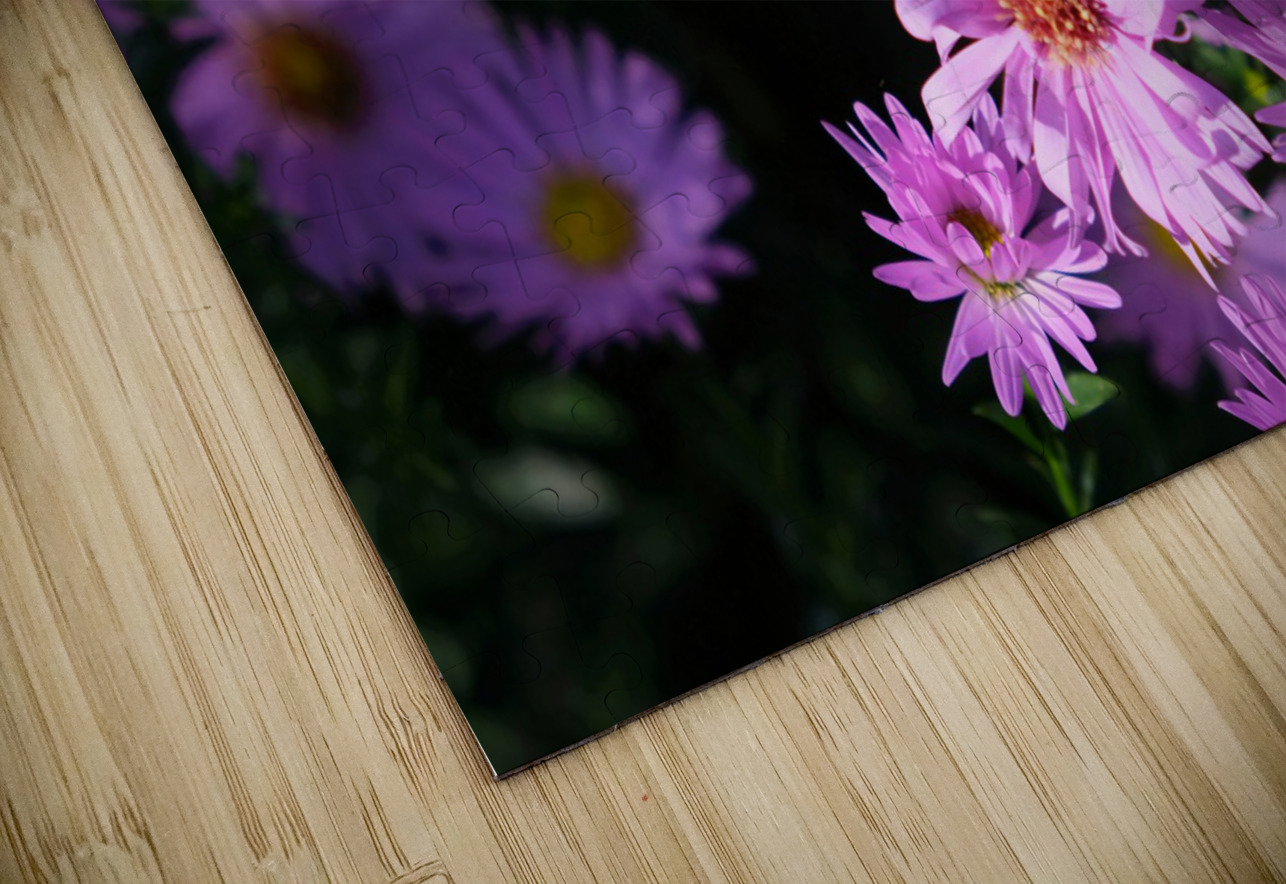 Pink Daisies 2B Click4Pix Puzzle