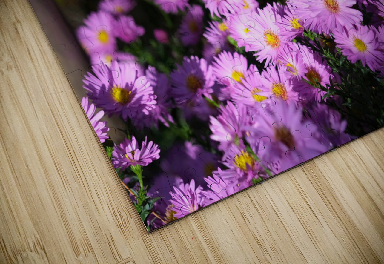 Pink Daisies  Click4Pix Puzzle